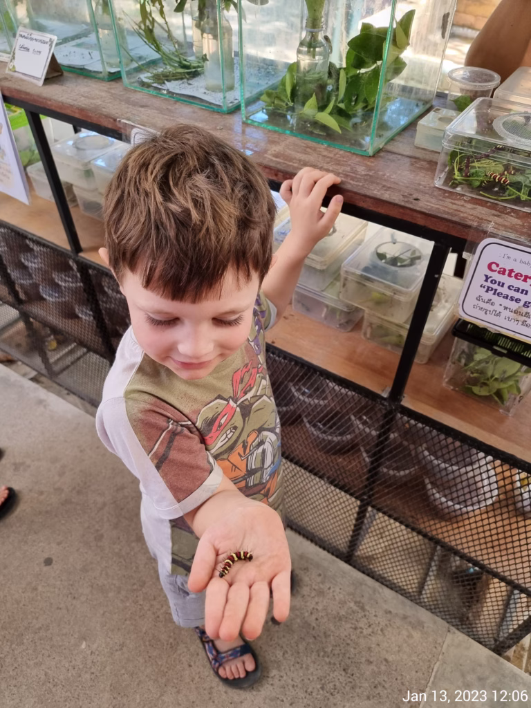 child holding insect at Siam Insect Zoo