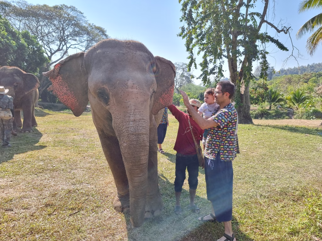 Elephant Nature Park Chiang Mai