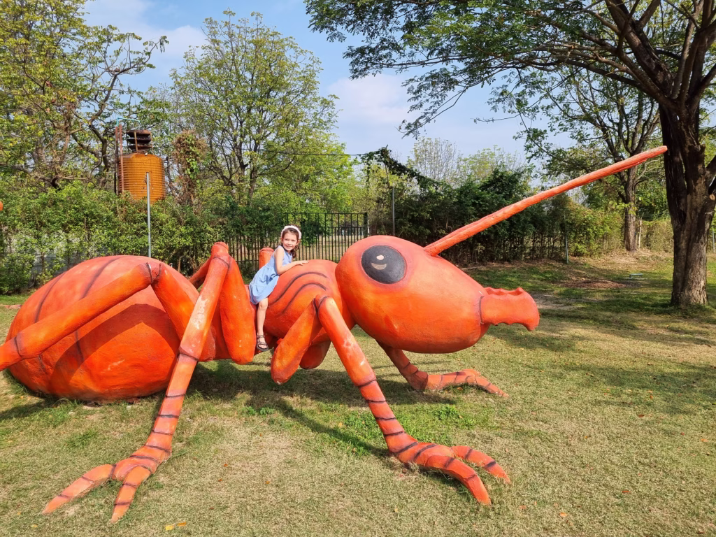 Animal Village Chiang Mai