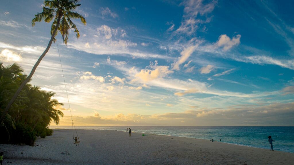 Peaceful beach scene at sunset with a swing on a palm tree and people enjoying the view.